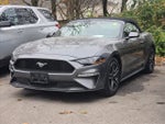 2023 Ford Mustang EcoBoost