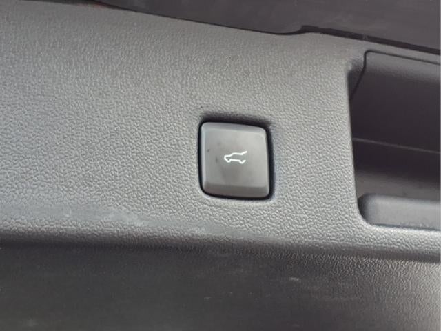 2024 Ford Escape ST-Line Elite