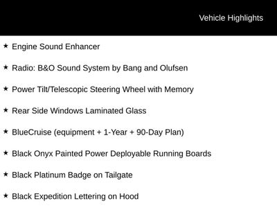 2026 Ford Expedition Platinum