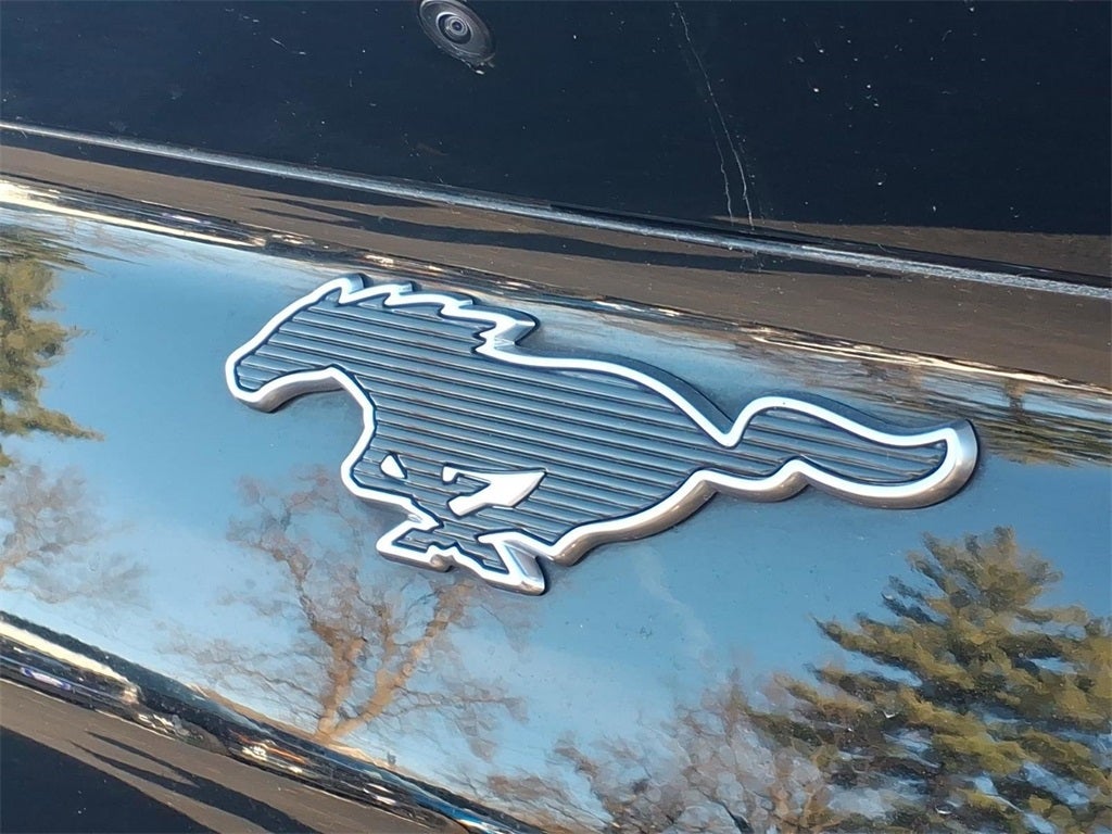 2021 Ford Mustang Mach-E Premium