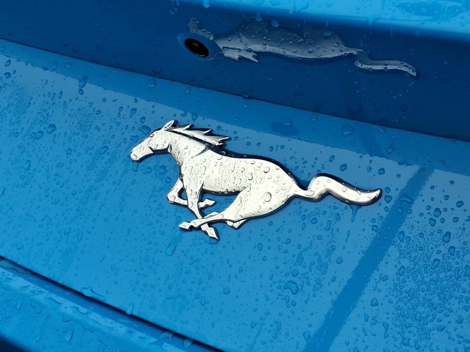 2025 Ford Mustang EcoBoost